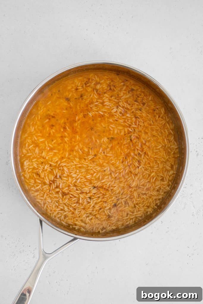 rice and broth in pan