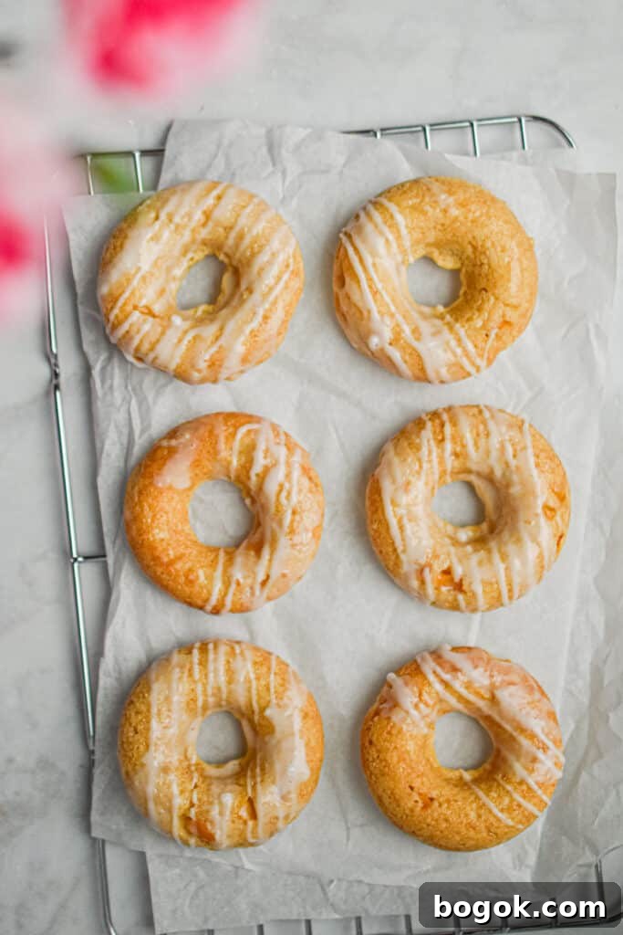 Baked Dairy-Free Peach Donuts Recipe 2 Six peach kefir doughnuts are laid out on a parchment paper on top of a wire rack.