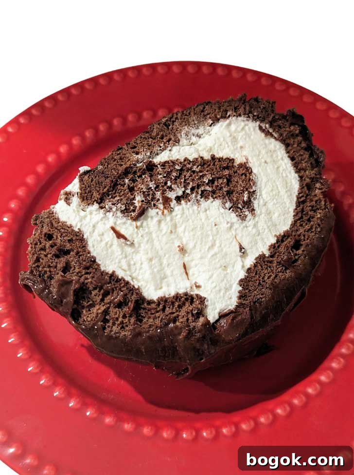 Flourless Swiss Cake Roll Slice