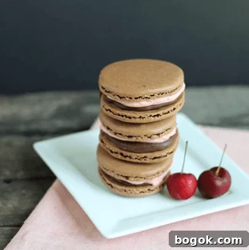 Chocolate Cherry Macarons with Silky Cherry Buttercream 2 A stack of chocolate macarons on a white plate.