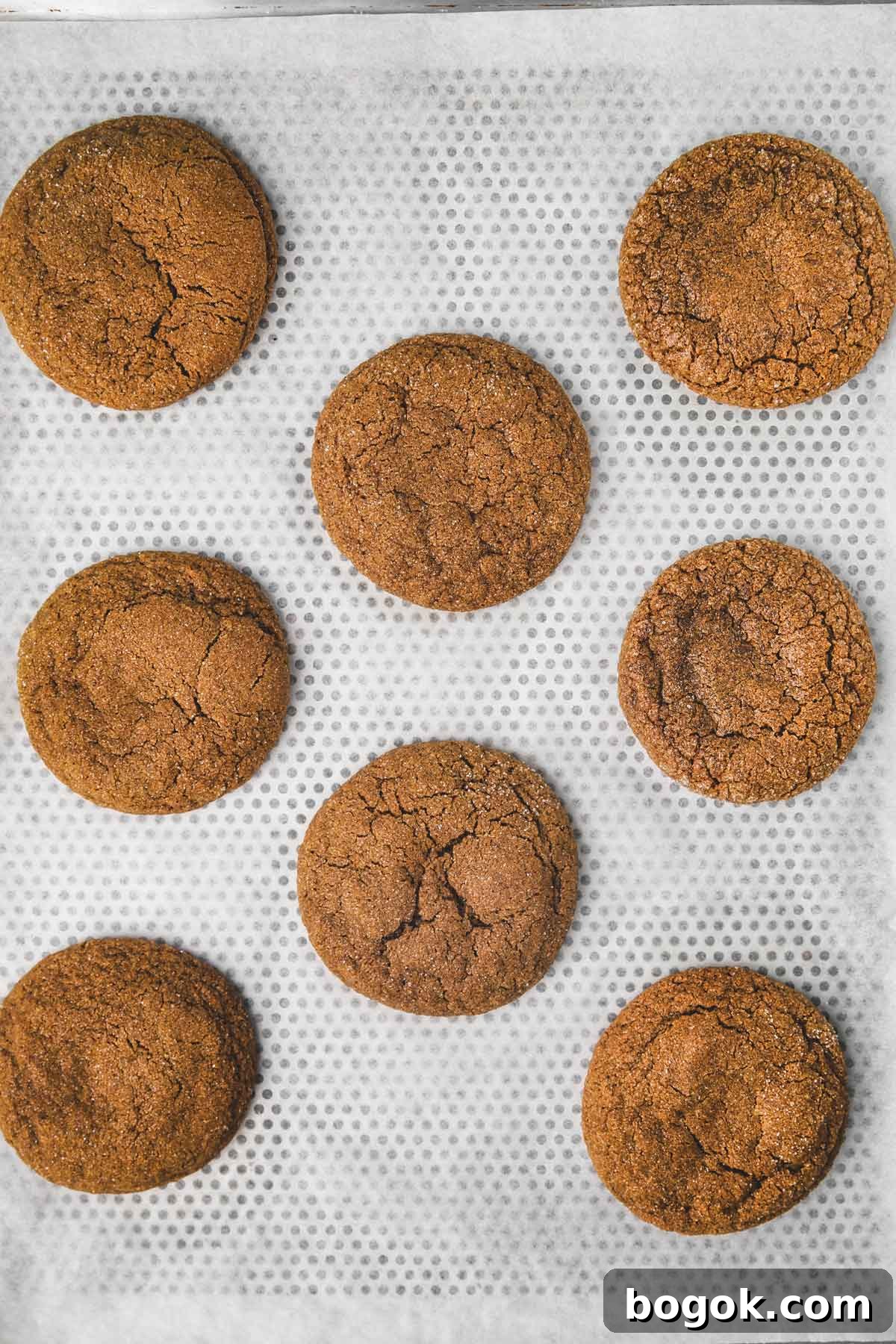 Soft Molasses Gingerbread Cookies Recipe 8 baked gingerbread cookies on a cookie sheet