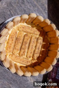 Tiramisu Charlotte Cake