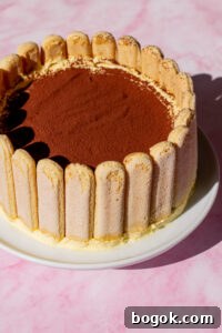 Tiramisu Charlotte Cake