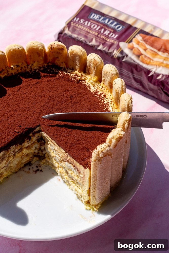 Tiramisu Charlotte Cake