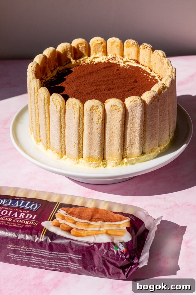 Tiramisu Charlotte Cake