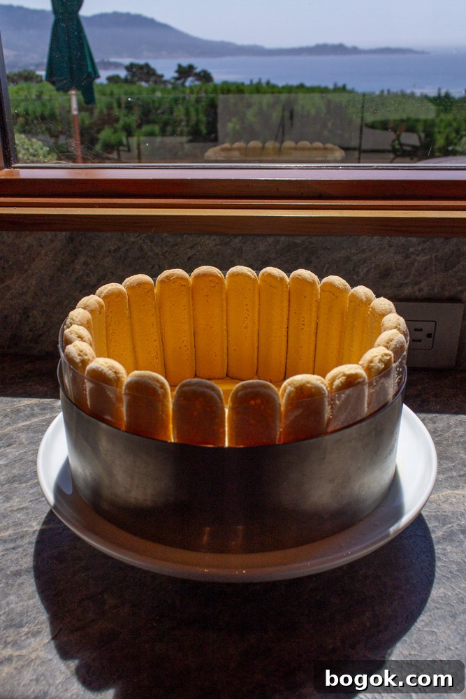 Tiramisu Charlotte Cake