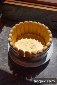 Tiramisu Charlotte Cake