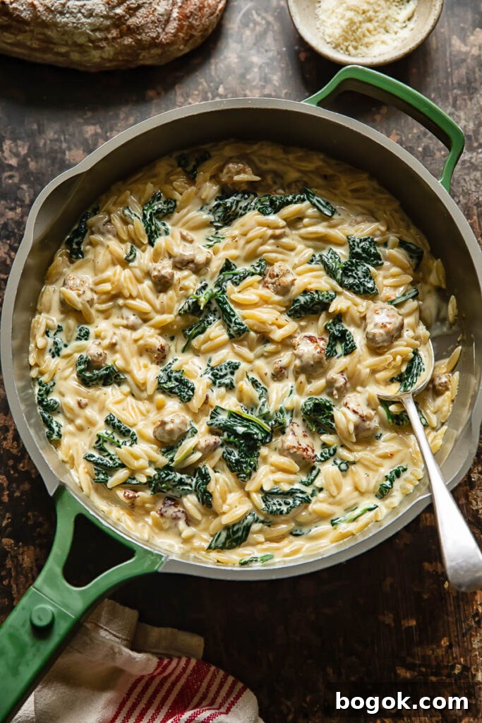 Top down shot of Italian sausage orzo in a wide pan
