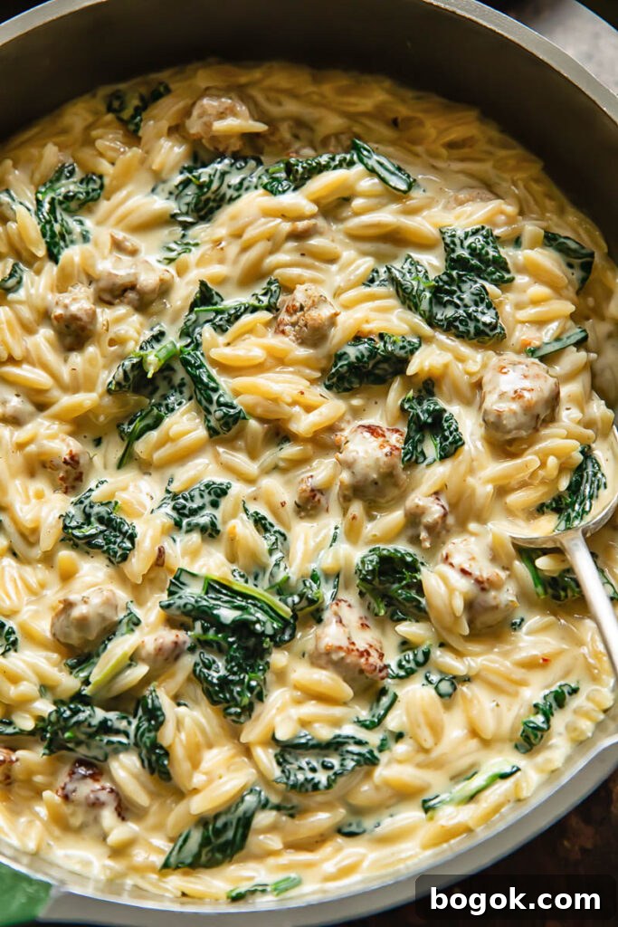 Shot of creamy orzo in a pan with sausage and topped with kale