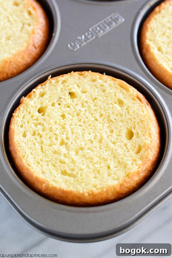 Cakelette - diy