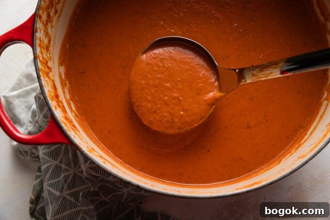 Ladle full of velvety tomato butternut bisque.