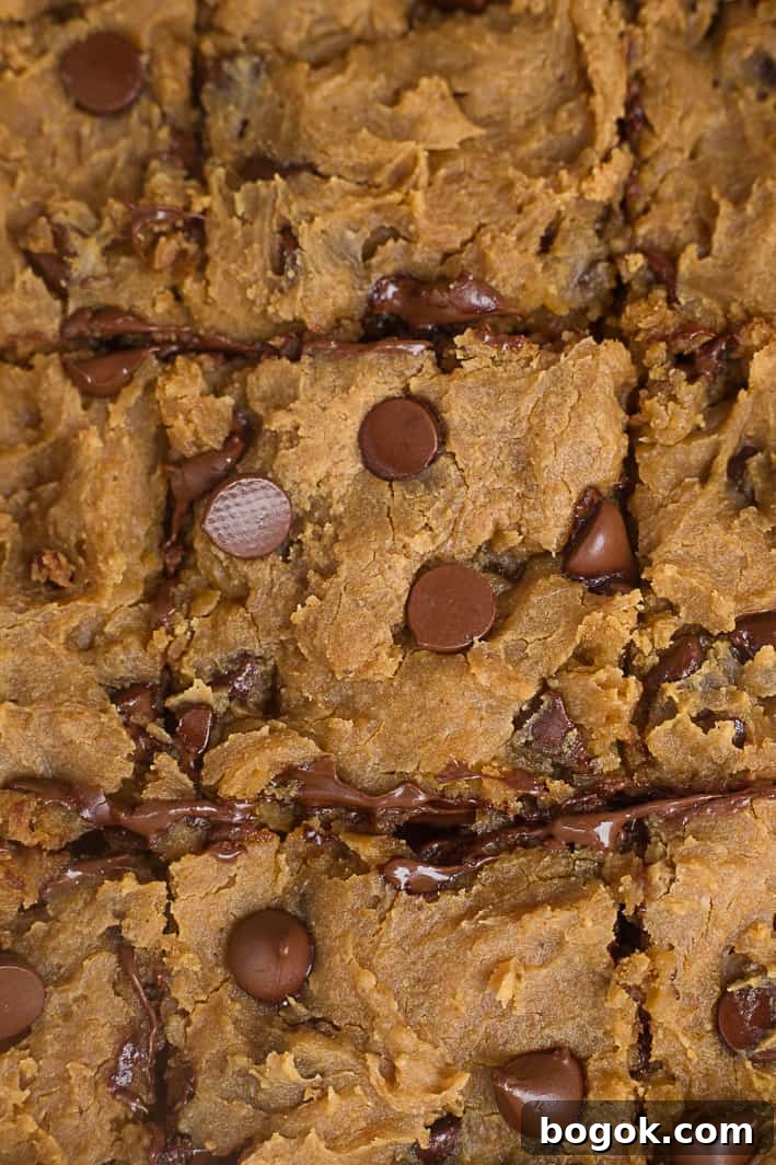Healthy Peanut Butter Chickpea Blondies with Chocolate Chips