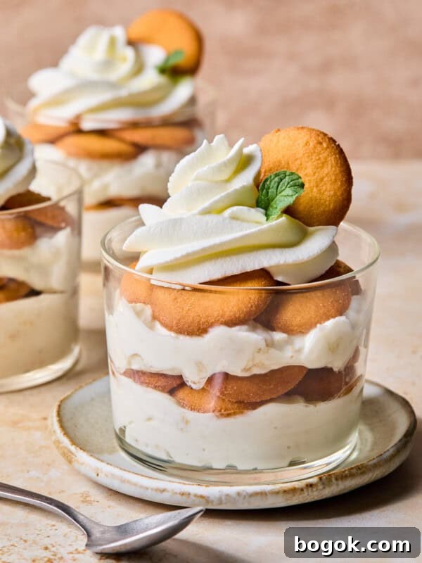 A glass dessert cup filled with layers of vanilla pudding, round cookies, and whipped cream, garnished with a cookie and a mint leaf, sits on a plate with a spoon beside it. Another dessert cup is in the background.