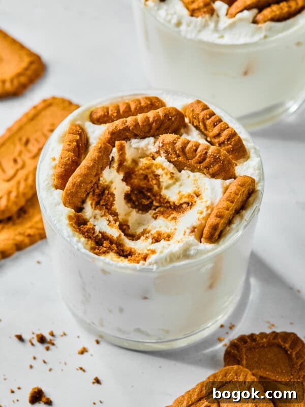 A glass filled with creamy dessert inspired by Viral Japanese Yogurt Cheesecake, topped with crumbled and whole caramelized Biscoff cookies. Additional cookies and crumbs are scattered on the white surface around the glass.