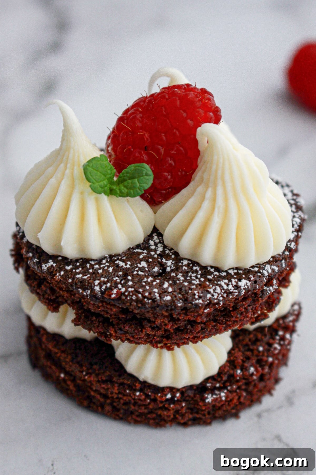 mini chocolate cake on a plate topped with a fresh raspberry,