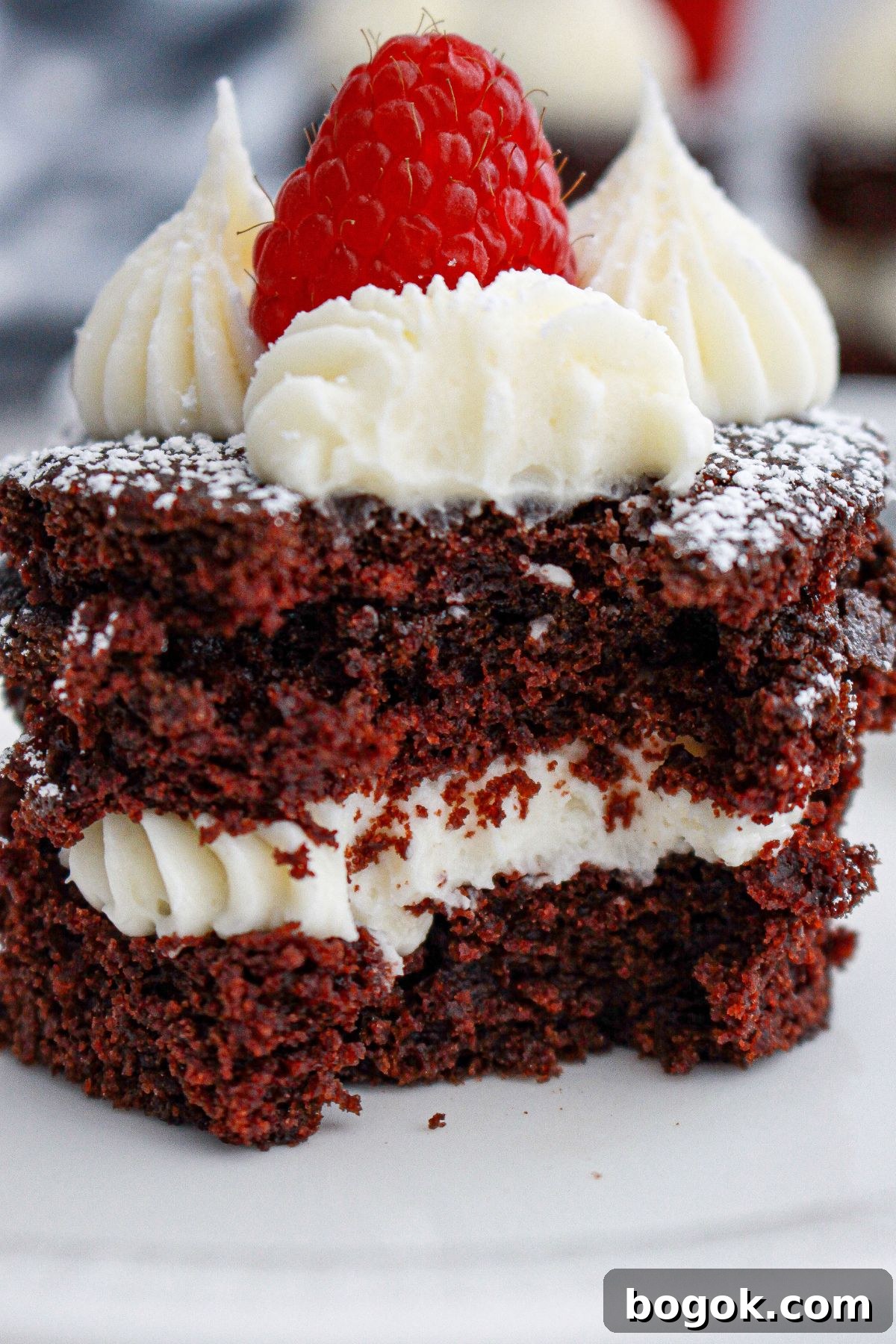 mini chocolate cake on a plate topped with a fresh raspberry with a bite missing from the cake.