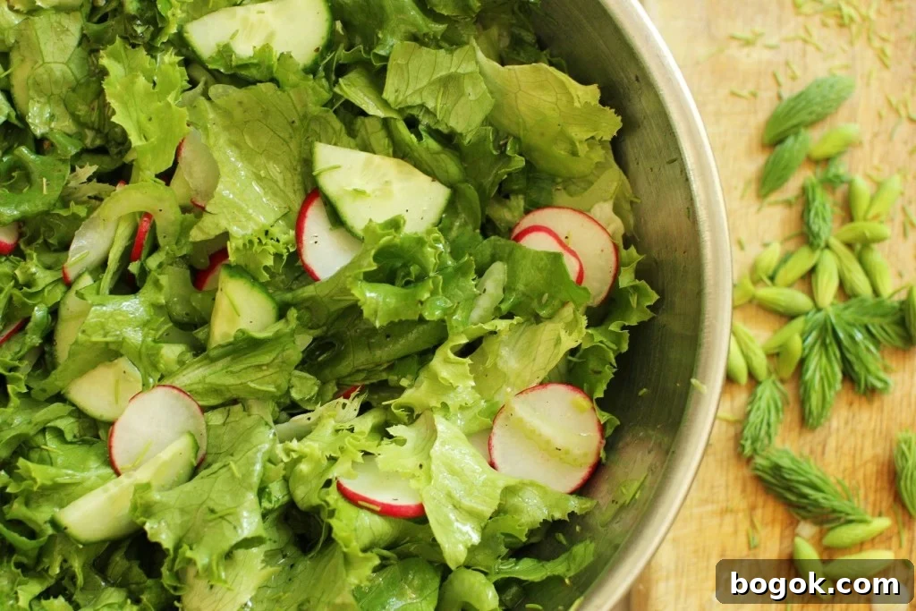 Spring green salad with fresh spruce tips
