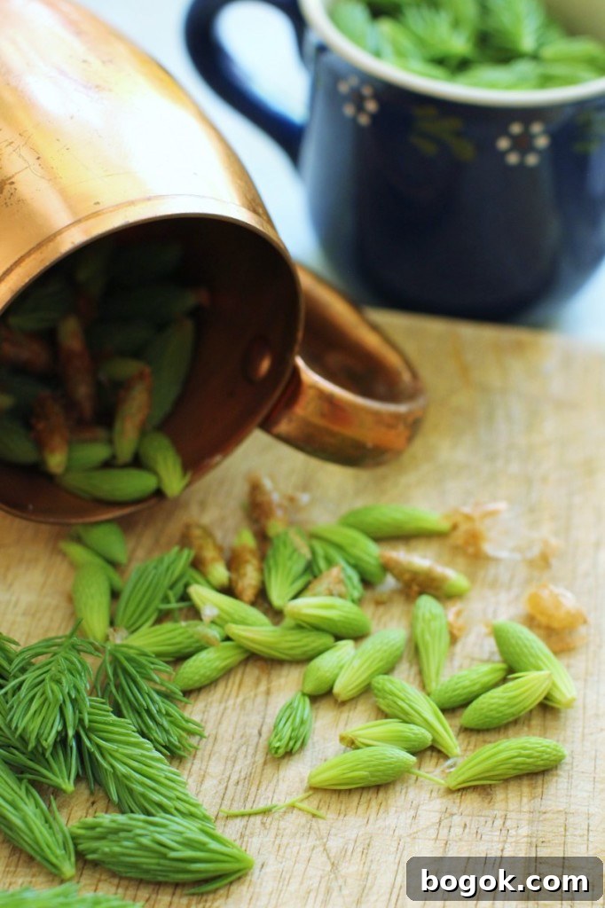 A Harvest of Spruce Tips on the Cutting Board