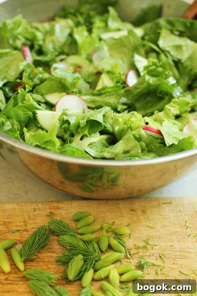 Bowl of Spring Green Salad with Spruce Tips