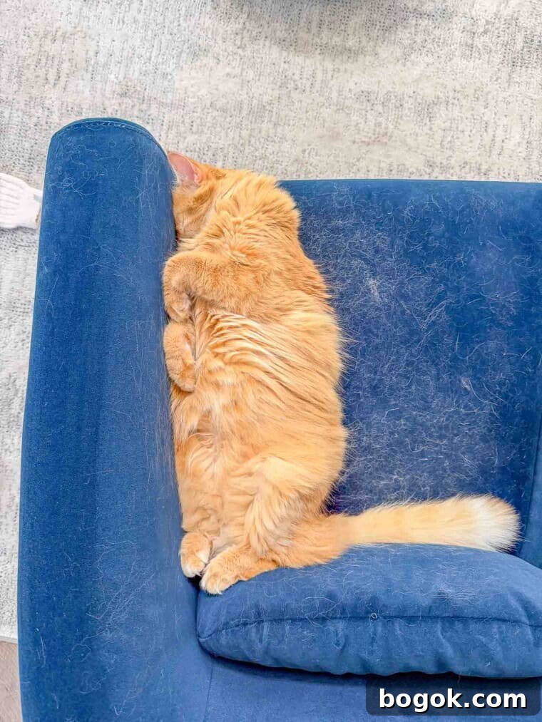 Mango smushed