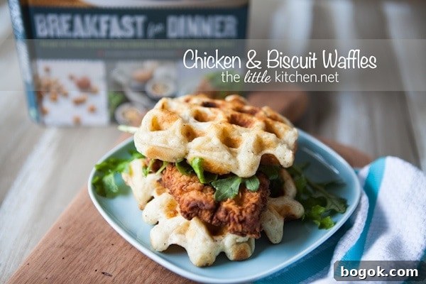 Chicken & Biscuit Waffles from The Little Kitchen Chicken & Biscuit Waffles