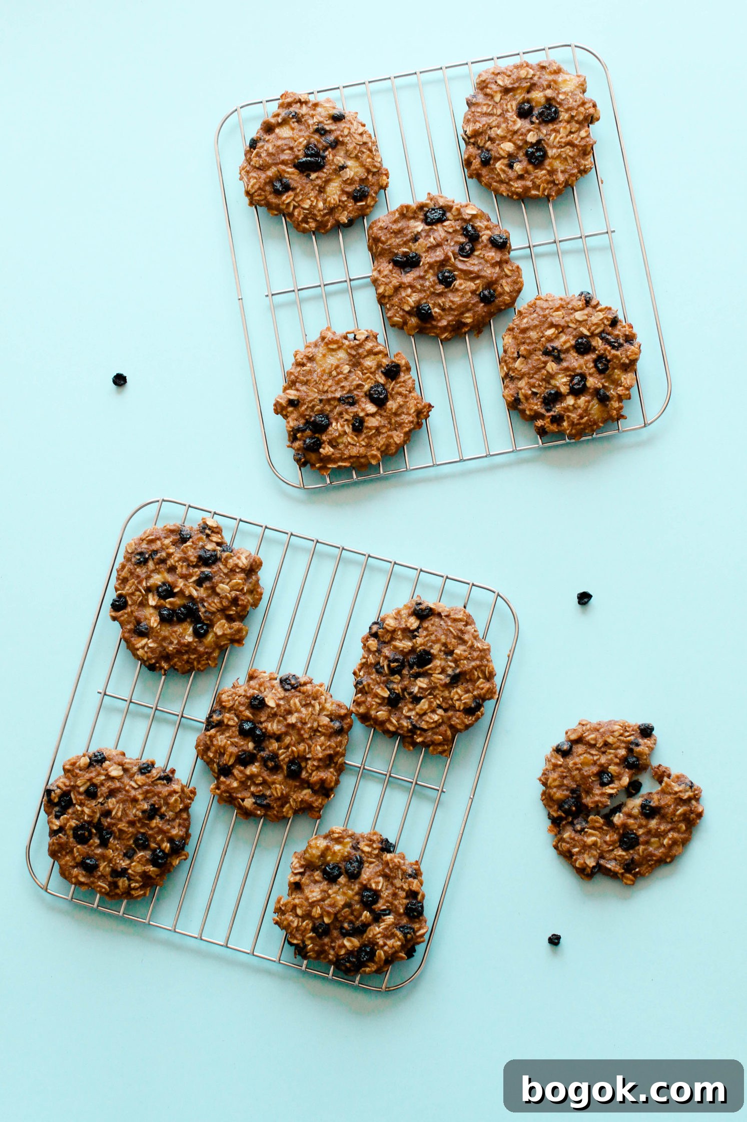 Blueberry Banana Breakfast Cookies baked on two cooling racks with one cookie broken open