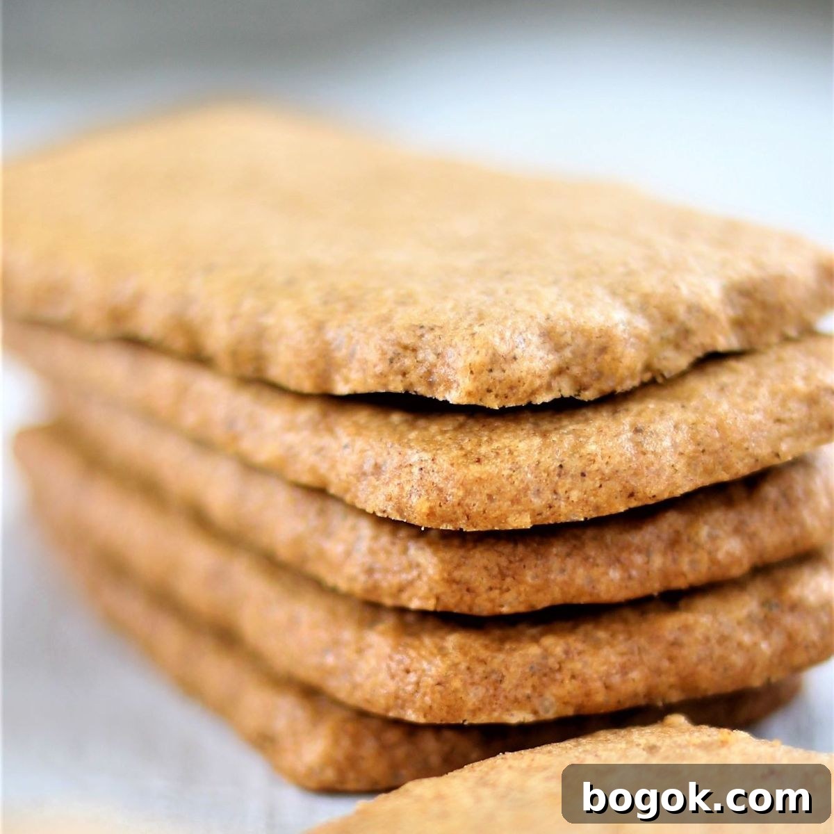 stack of biscoff cookies up close.