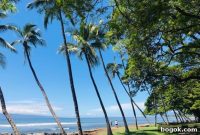 Maui Food Travel Guide: Where to Eat, Drink, and Local Favorites