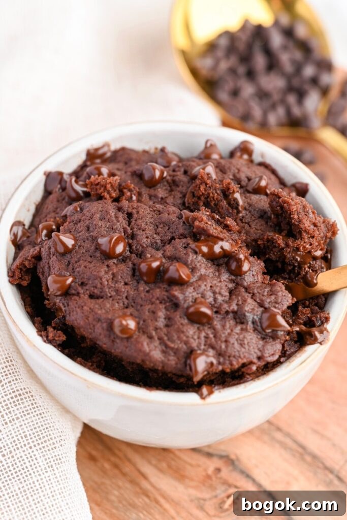 Protein Mug Cake Recipe