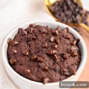 Protein Mug Cake Recipe
