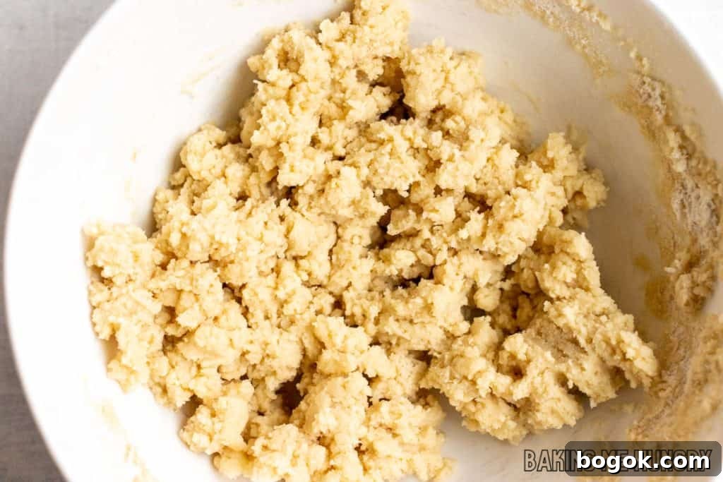 Safe-to-Eat Sugar Cookie Dough Recipe 5 batter in bowl