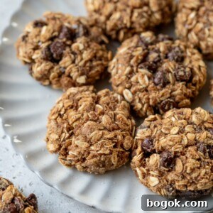 Soft and Chewy Applesauce Cookie Recipe 7 overview of applesauce cookies on a plate