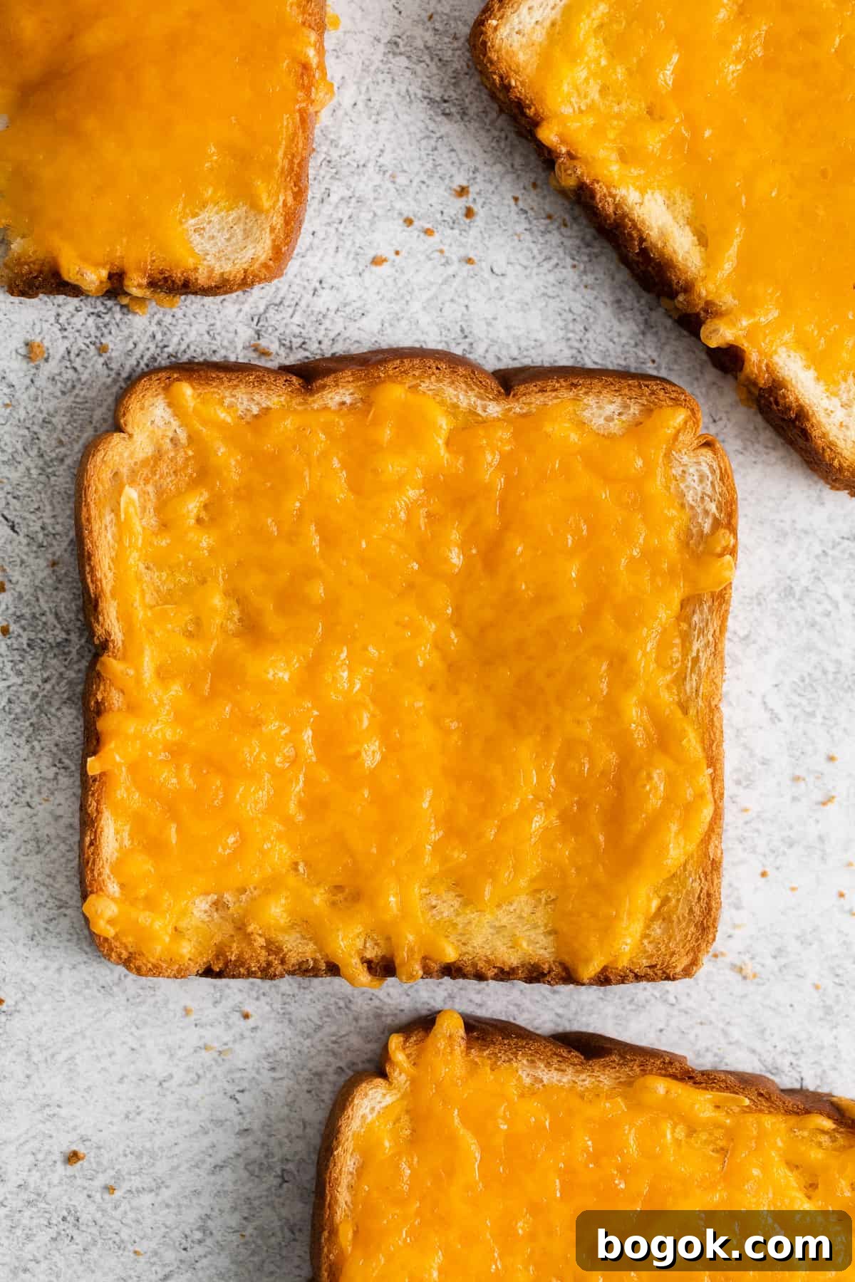 Slice of cheese toast Slice of cheese toast.