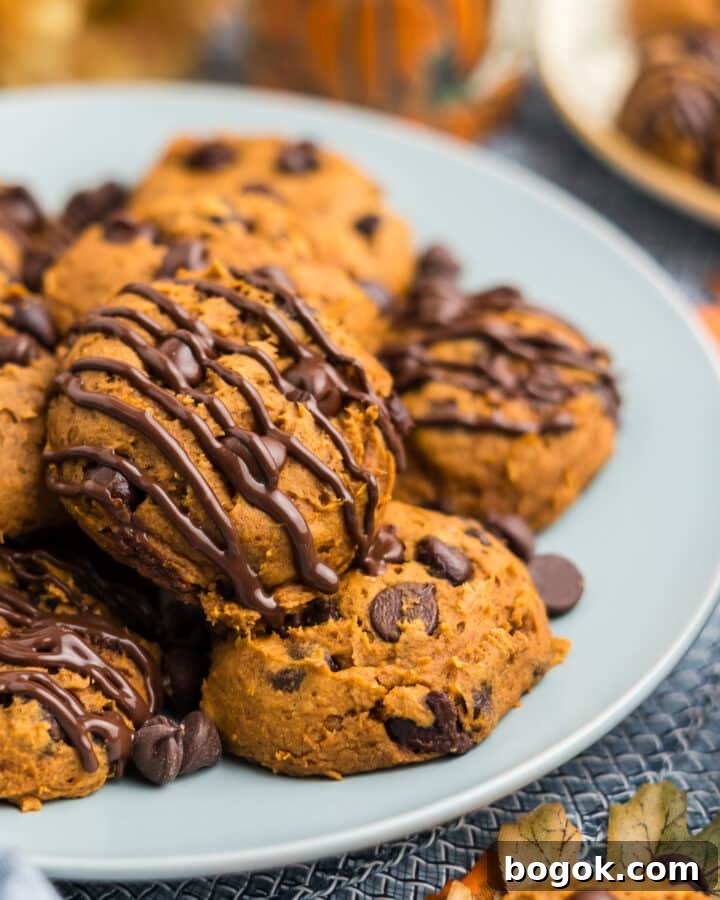 3 ingredient pumpkin cookies on a plate with melted chocolate drizzle.