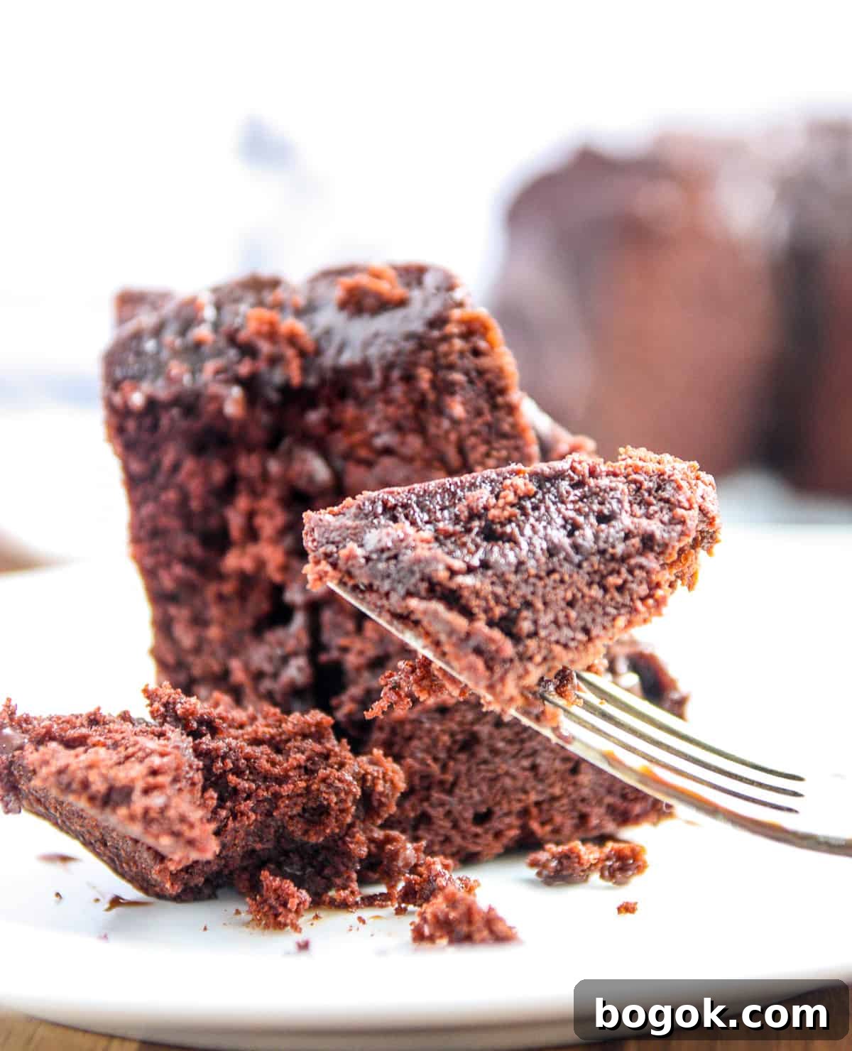 Moist Fluffy Air Fryer Cake Recipe 8 A close up of a fork full of chocolate cake.