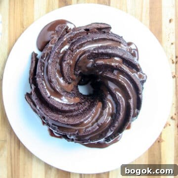 Moist Fluffy Air Fryer Cake Recipe 7 An air fryer chocolate bundt cake on a white plate.