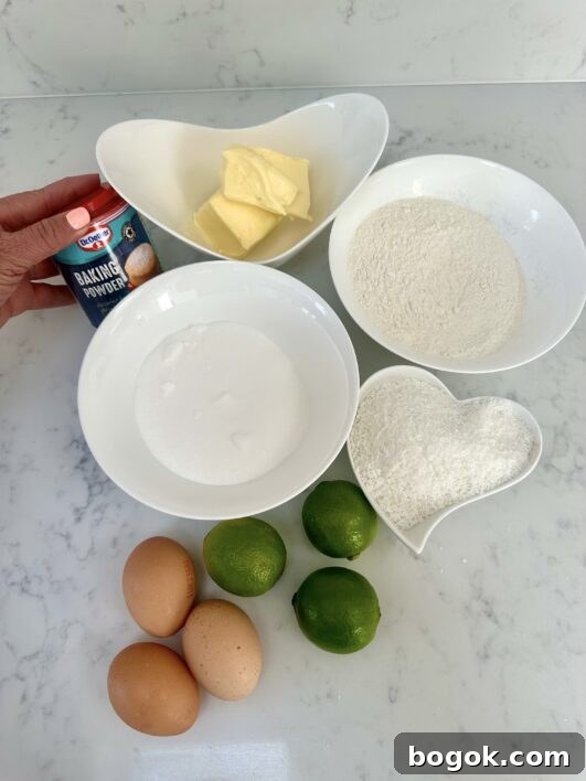 Zesty Lime and Coconut Loaf Cake 2 Ingredients for lime and coconut loaf cake