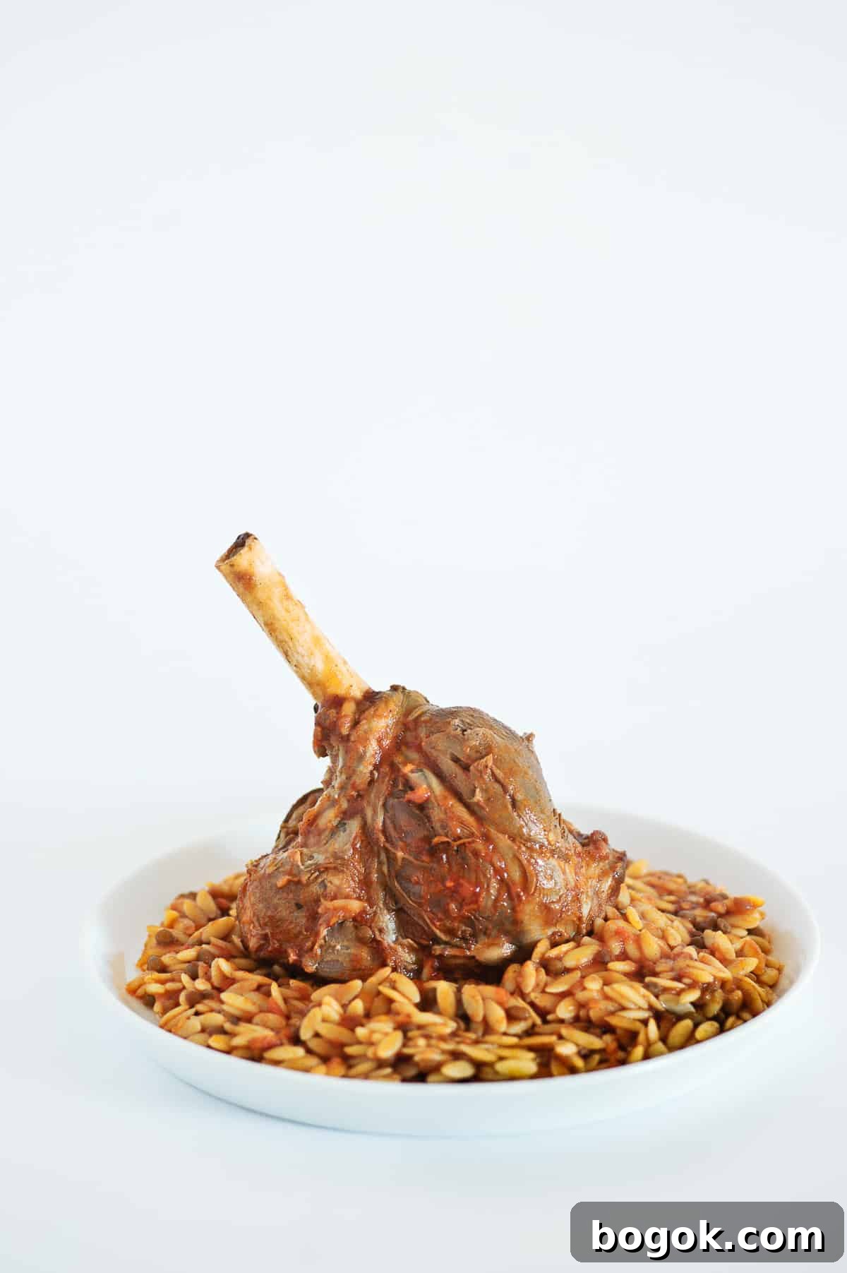 Traditional Greek Lamb Giouvetsi with Orzo 2 a braised lamb shank served with orzo pasta on a white plate