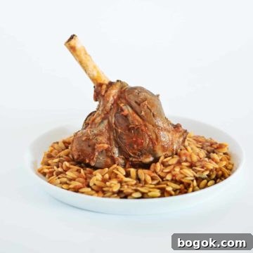 Traditional Greek Lamb Giouvetsi with Orzo 4 a braised lamb shank served with orzo pasta on a white plate
