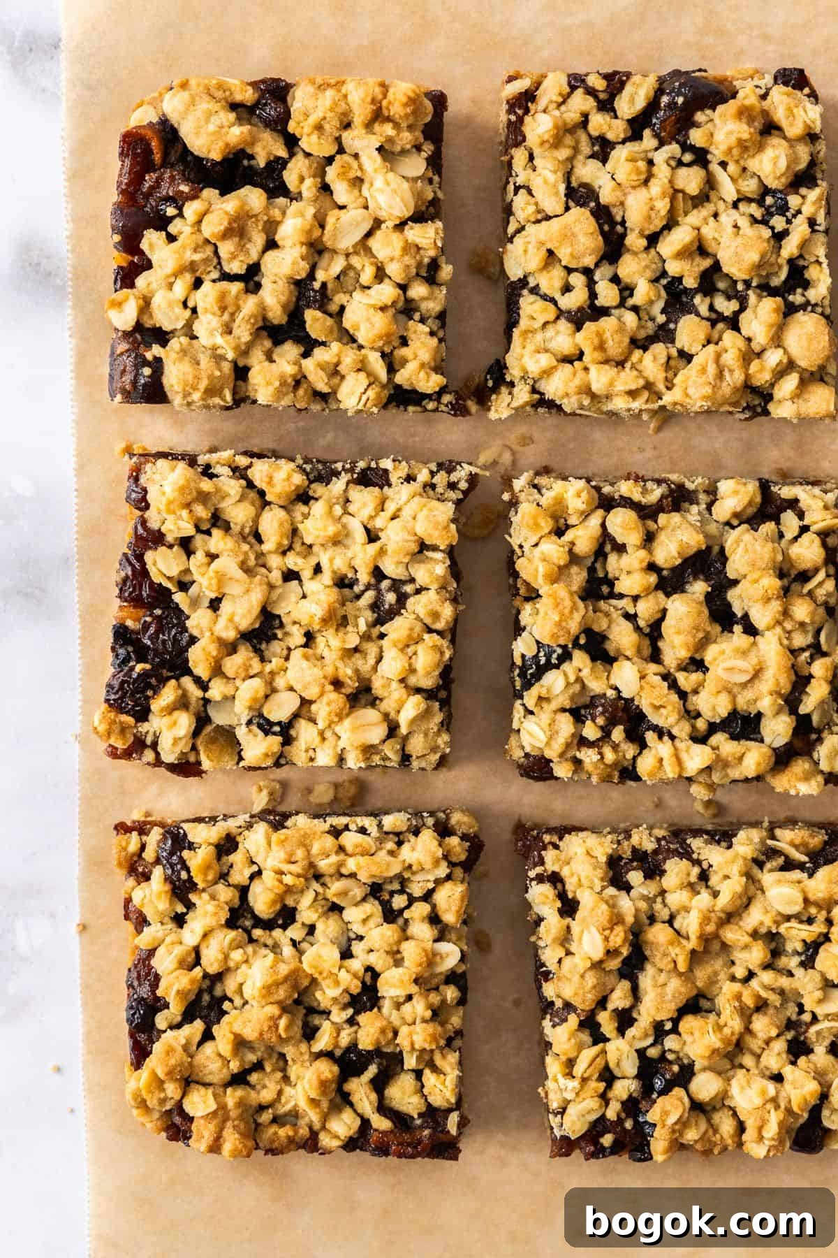 Fruit Mince Oatmeal Bars Recipe — Chewy Fruit & Oat Squares 4 Six cut pieces of Fruit Mince Oatmeal Bars sitting on some brown paper.