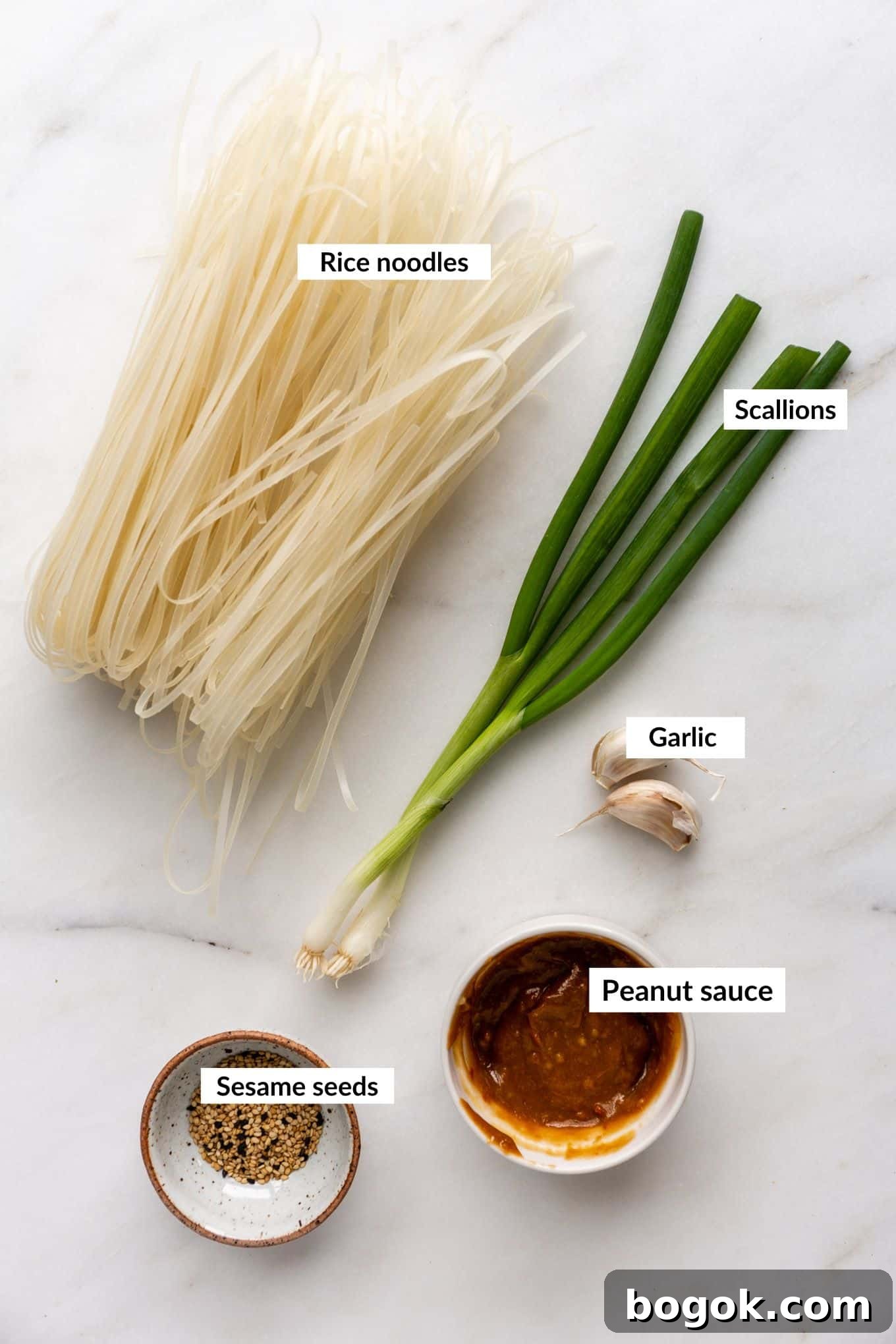 Creamy Peanut Butter Noodles Recipe with Garlic and Soy 3 Ingredients to make peanut butter noodles
