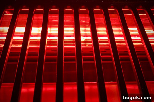 Light source beneath grate on Tenergy Indoor infrared Grill