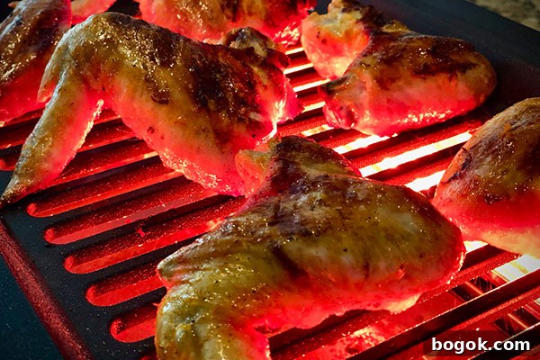 Chicken Wings grilling on the Tenergy Indoor smokeless Grill