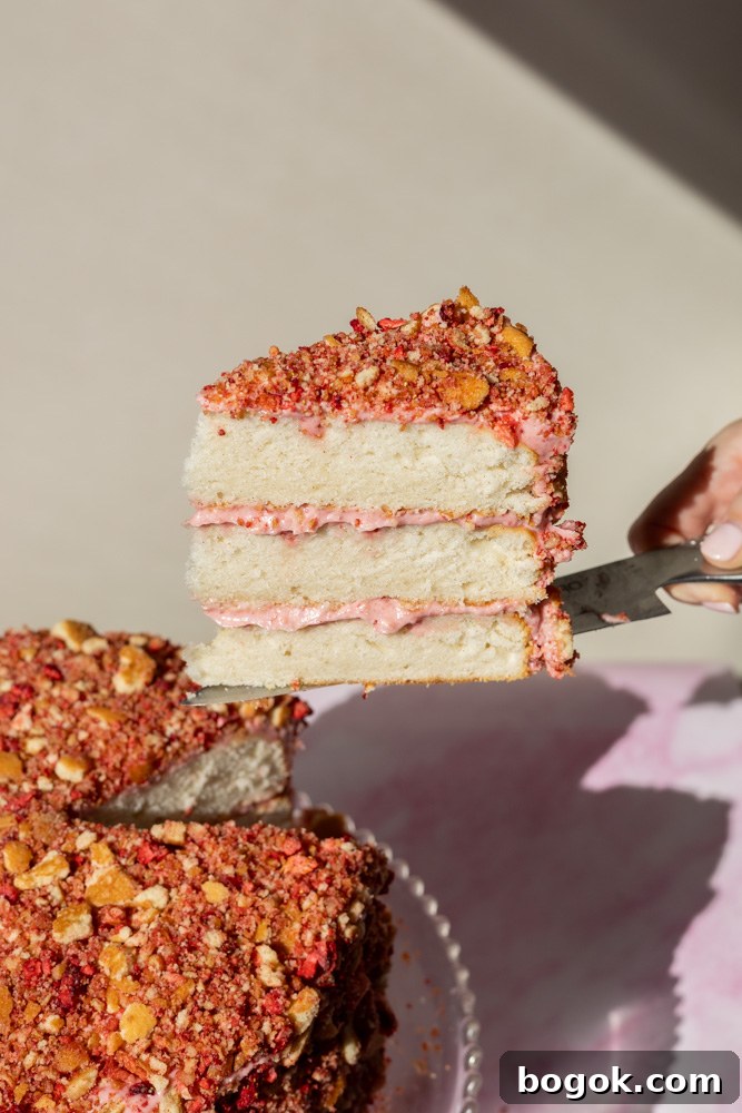 Strawberry Shortcake Cake Inspired by Ice Cream Bars 3 Strawberry Shortcake Cake