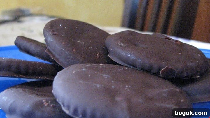 Thin Mint Cookie Crackers: Mint Chocolate Snack Recipe 2 Thin Mint Crackers