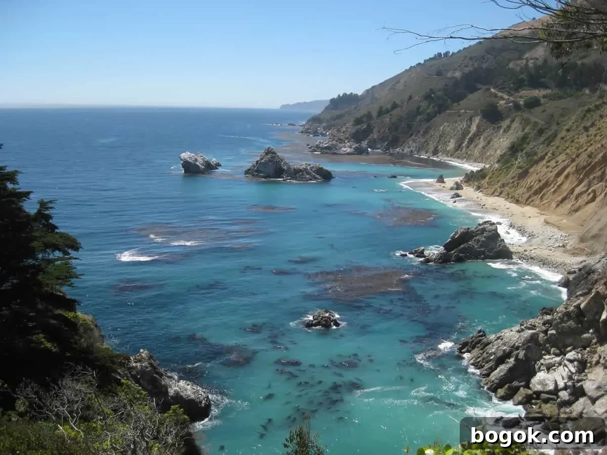 How to Make Fresh Sweet Cherry Sauce 9 Shoreline image of Big Sur California