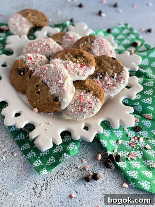 Peppermint-Dipped Chocolate Chip Cookies Recipe 3 Cookies close up