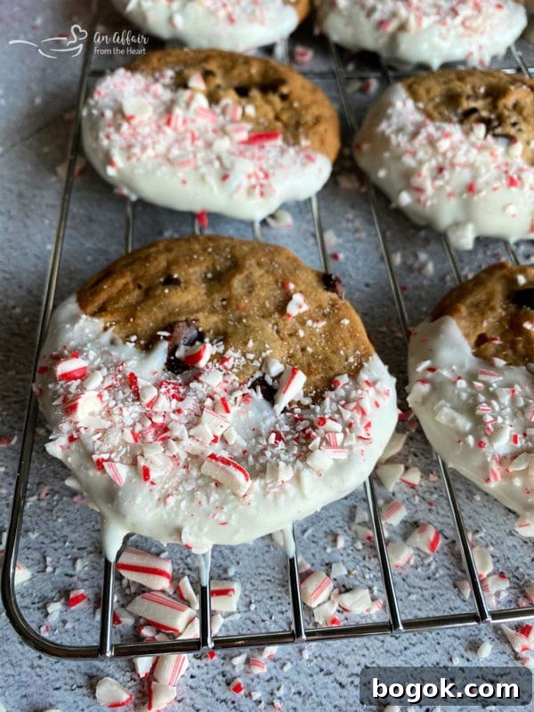 Peppermint-Dipped Chocolate Chip Cookies Recipe 6 Cookies setting