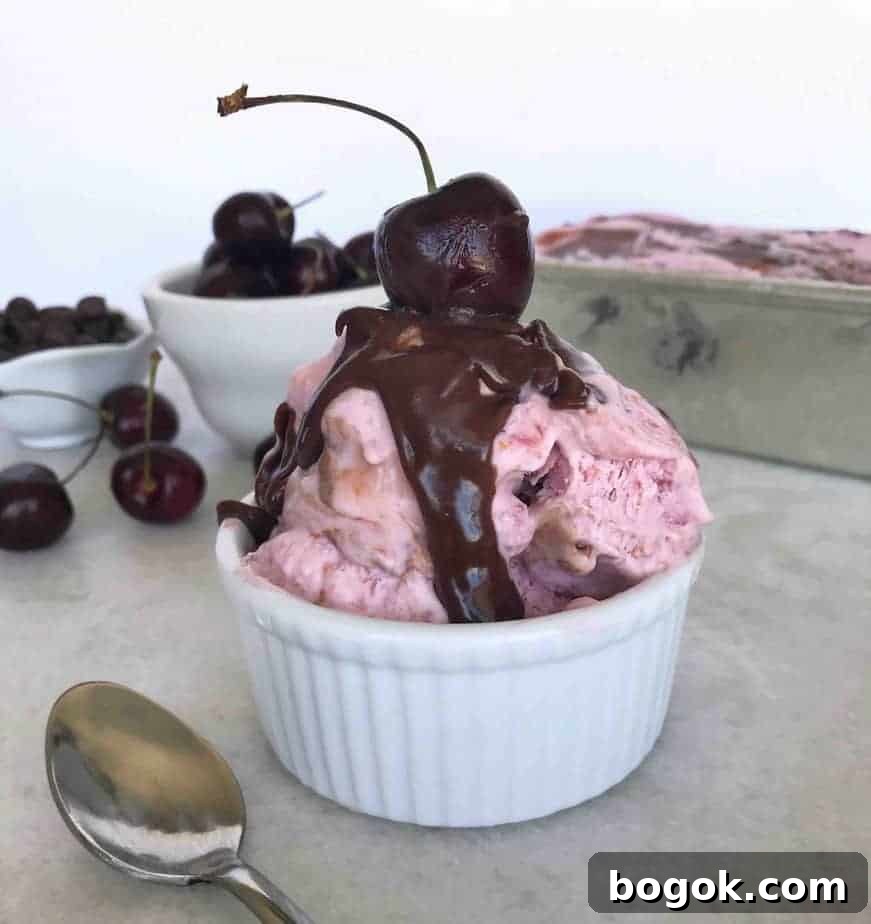No-Churn Cherry Ice Cream with Chocolate Ganache Swirls 4 scoop of cherry ice cream with chocolate sauce on top