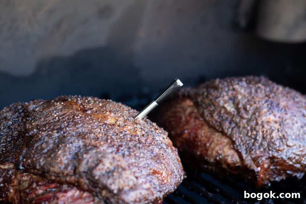 Picanha on the smoker with Meater probe